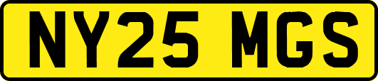 NY25MGS