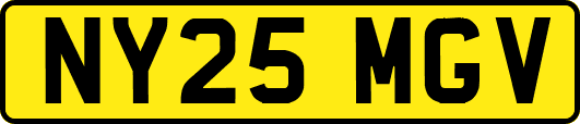 NY25MGV