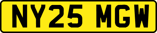 NY25MGW