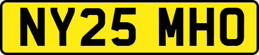 NY25MHO