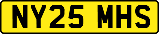 NY25MHS