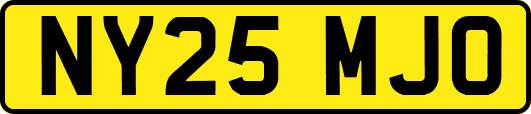 NY25MJO