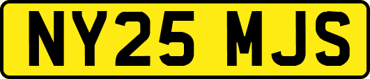 NY25MJS