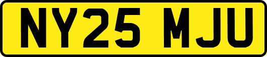 NY25MJU