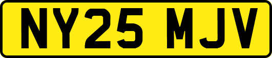 NY25MJV