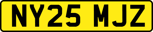 NY25MJZ