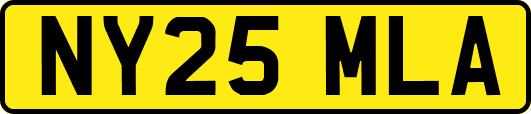 NY25MLA
