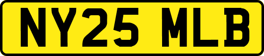 NY25MLB