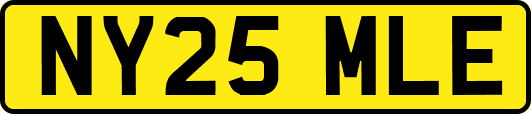 NY25MLE