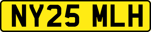 NY25MLH