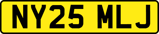 NY25MLJ
