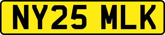 NY25MLK