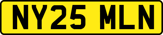 NY25MLN