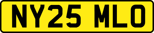 NY25MLO