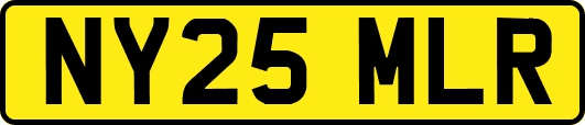 NY25MLR