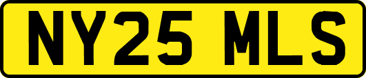 NY25MLS