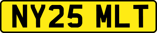 NY25MLT