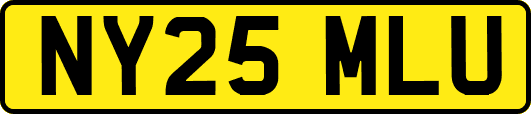 NY25MLU