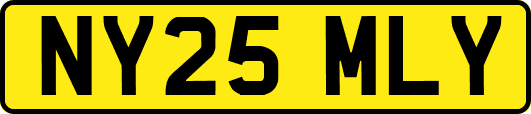 NY25MLY