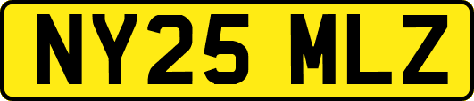 NY25MLZ