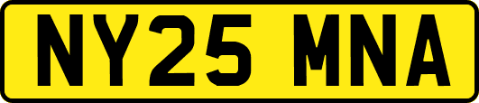 NY25MNA