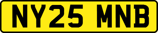 NY25MNB