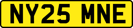 NY25MNE