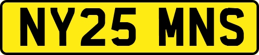 NY25MNS