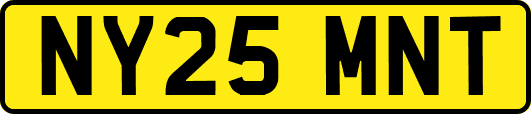 NY25MNT