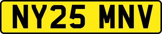NY25MNV