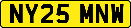 NY25MNW