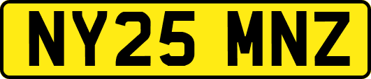 NY25MNZ