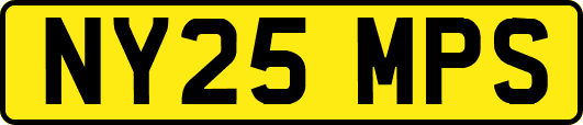 NY25MPS