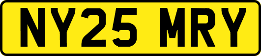 NY25MRY