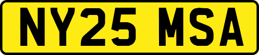 NY25MSA