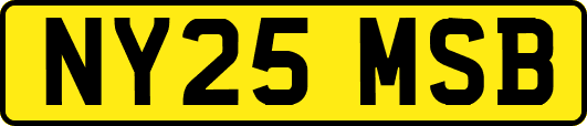 NY25MSB
