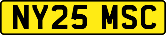 NY25MSC