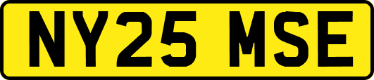 NY25MSE