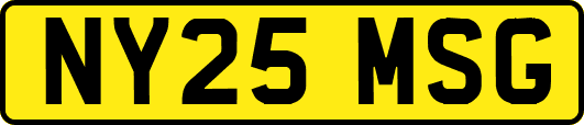NY25MSG
