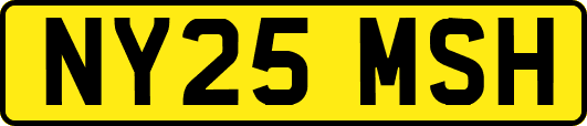 NY25MSH