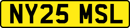 NY25MSL