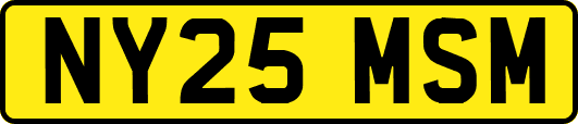 NY25MSM