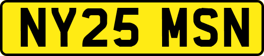 NY25MSN
