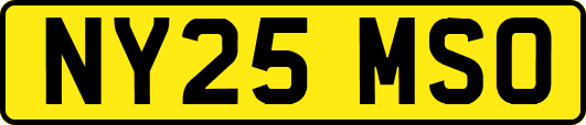 NY25MSO