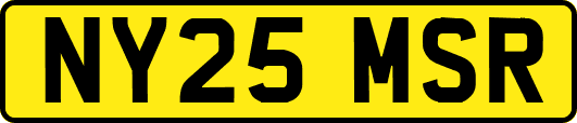 NY25MSR