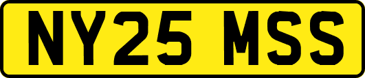 NY25MSS