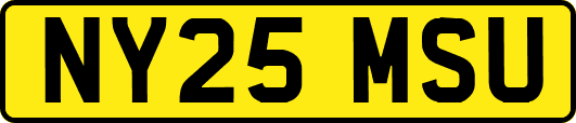 NY25MSU