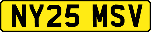 NY25MSV