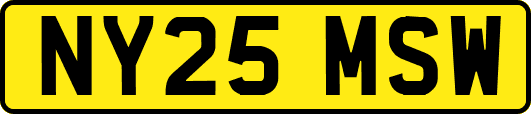 NY25MSW