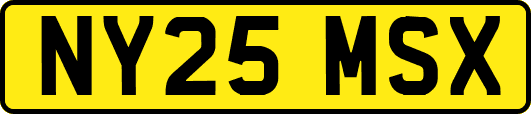 NY25MSX